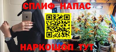 бошки Будённовск