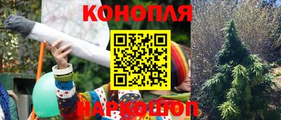 бошки Будённовск