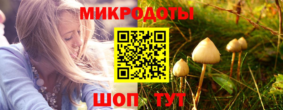 Галлюциногенные грибы ЛСД  Вход с VPN  Ногинск  Псилоцибиновые грибы мицелий 